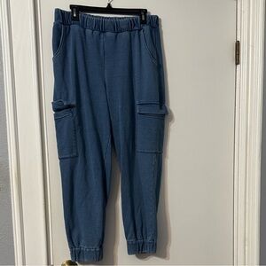 Express Blue Cargo Pants